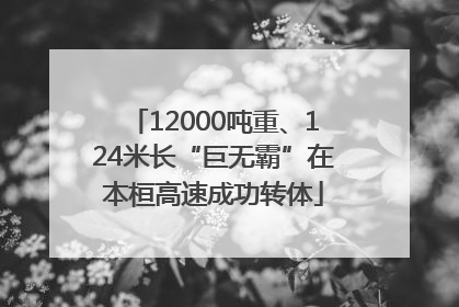 12000吨重、124米长“巨无霸”在本桓高速成功转体