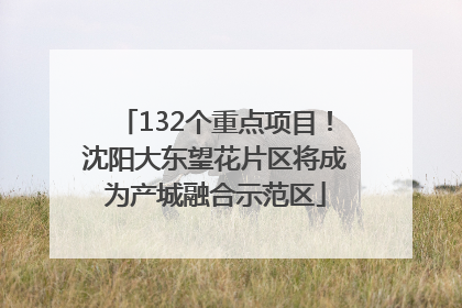 132个重点项目！沈阳大东望花片区将成为产城融合示范区