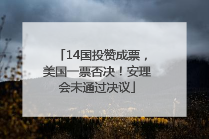 14国投赞成票，美国一票否决！安理会未通过决议