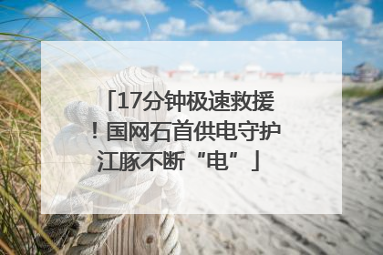 17分钟极速救援！国网石首供电守护江豚不断“电”
