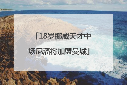 18岁挪威天才中场尼潘将加盟曼城