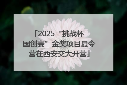 2025“挑战杯—国创赛”金奖项目夏令营在西安交大开营
