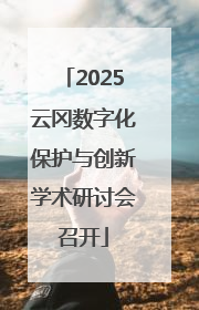 2025云冈数字化保护与创新学术研讨会召开