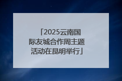 2025云南国际友城合作周主题活动在昆明举行