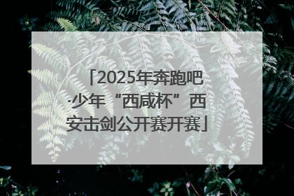 2025年奔跑吧·少年“西咸杯”西安击剑公开赛开赛