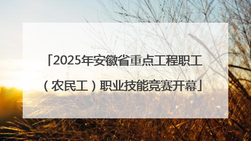 2025年安徽省重点工程职工（农民工）职业技能竞赛开幕
