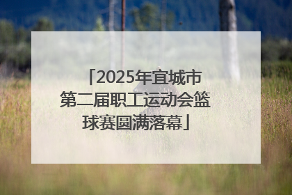 2025年宜城市第二届职工运动会篮球赛圆满落幕