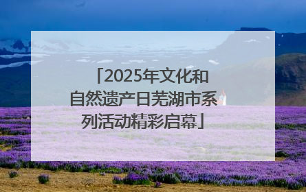 2025年文化和自然遗产日芜湖市系列活动精彩启幕