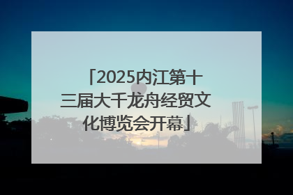 2025内江第十三届大千龙舟经贸文化博览会开幕