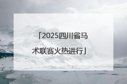 2025四川省马术联赛火热进行