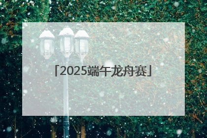 2025端午龙舟赛