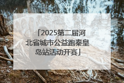 2025第二届河北省城市公益跑秦皇岛站活动开赛