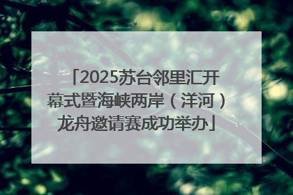 2025苏台邻里汇开幕式暨海峡两岸（洋河）龙舟邀请赛成功举办