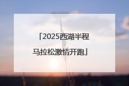 2025西湖半程马拉松激情开跑
