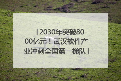 2030年突破8000亿元！武汉软件产业冲刺全国第一梯队