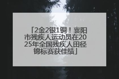 2金2银1铜！襄阳市残疾人运动员在2025年全国残疾人田径锦标赛获佳绩