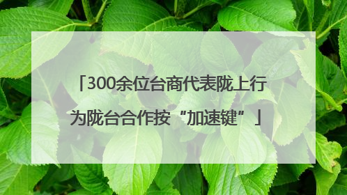 300余位台商代表陇上行 为陇台合作按“加速键”