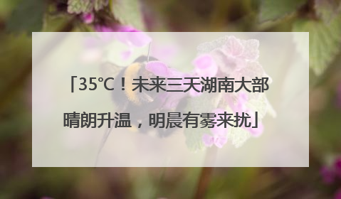 35℃！未来三天湖南大部晴朗升温，明晨有雾来扰