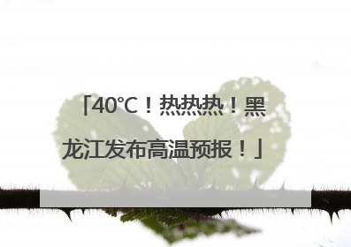 40℃！热热热！黑龙江发布高温预报！