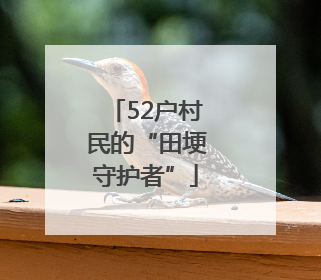 52户村民的“田埂守护者”