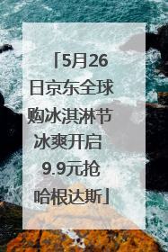 5月26日京东全球购冰淇淋节冰爽开启 9.9元抢哈根达斯