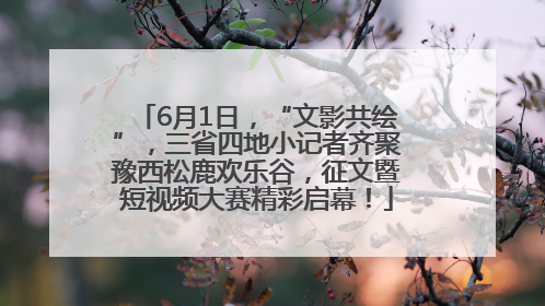 6月1日，“文影共绘”，三省四地小记者齐聚豫西松鹿欢乐谷，征文暨短视频大赛精彩启幕！