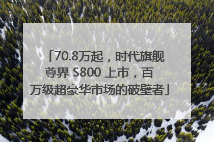 70.8万起，时代旗舰尊界 S800 上市，百万级超豪华市场的破壁者
