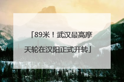 89米！武汉最高摩天轮在汉阳正式开转