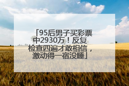 95后男子买彩票中2930万！反复检查四遍才敢相信，激动得一宿没睡