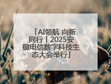 AI领航 向新同行丨2025安徽电信数字科技生态大会举行