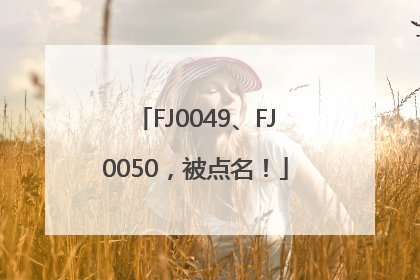 FJ0049、FJ0050，被点名！