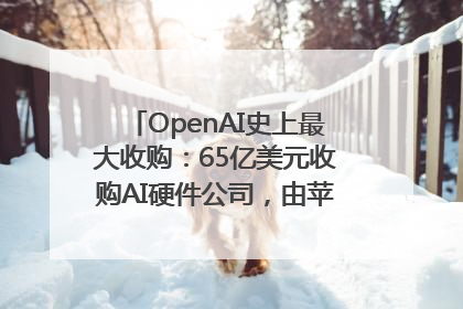 OpenAI史上最大收购：65亿美元收购AI硬件公司，由苹果前设计总监创办