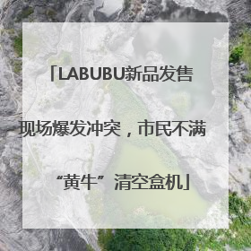 LABUBU新品发售现场爆发冲突，市民不满“黄牛”清空盒机