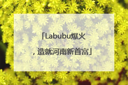 Labubu爆火，造就河南新首富