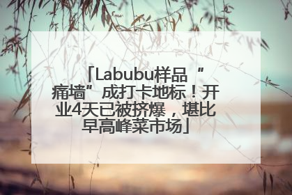 Labubu样品“痛墙”成打卡地标！开业4天已被挤爆，堪比早高峰菜市场