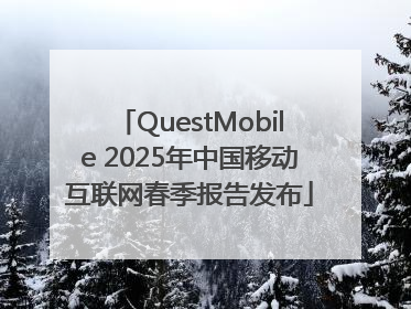 QuestMobile 2025年中国移动互联网春季报告发布